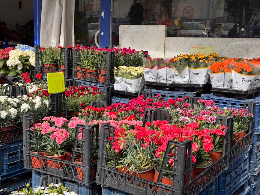 Outdoor display of various potted flowering plants, including pink, red, white, orange, and yellow blooms, arranged in black plastic crates on blue pallets outside a shop. The plants have vibrant, fre