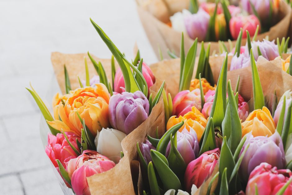 A close-up view of multiple bouquets of fresh tulips in various colors, including pink, orange, purple, and white, arranged with green leaves and stems. The tulips are wrapped in brown kraft paper, sh